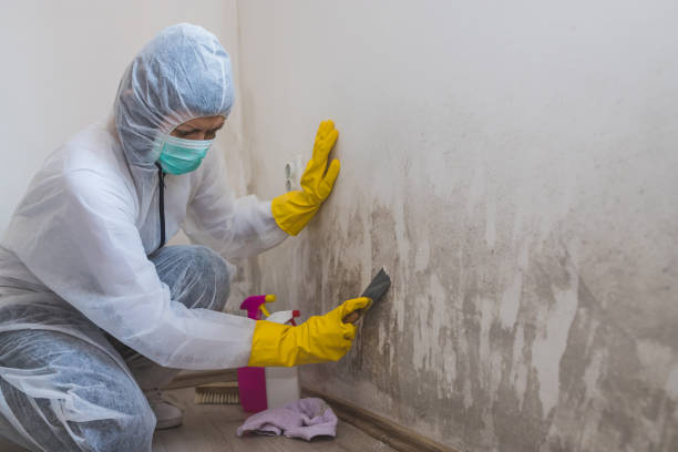 Best Water Damage Restoration  in Cave Spring, VA