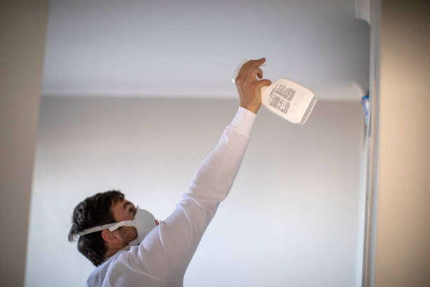 Best Black Mold Removal  in Cave Spring, VA
