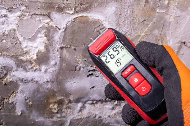 Best Mold Remediation  in Cave Spring, VA