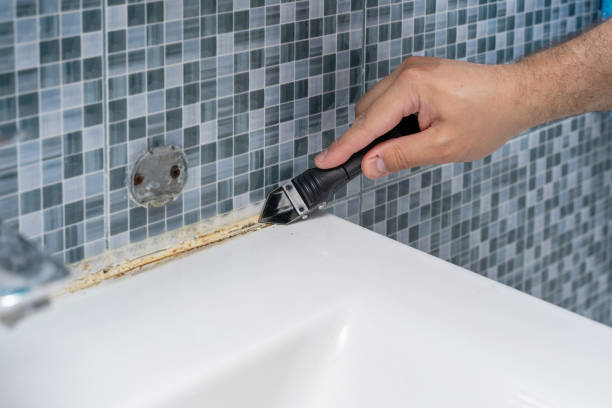 Best Toxic Mold Removal  in Cave Spring, VA