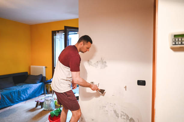 Trusted Cave Spring, VA Mold Removal Experts