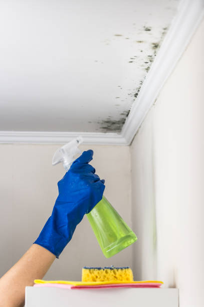 Best Mold Testing  in Cave Spring, VA